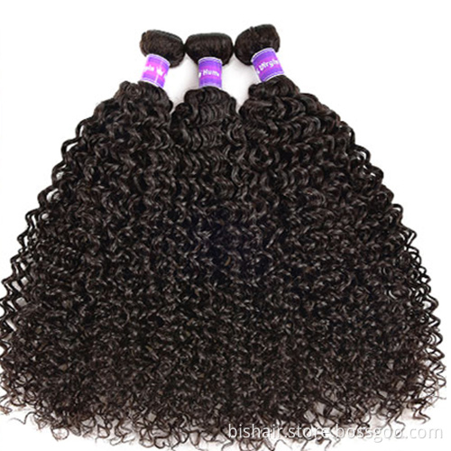BIS kinky curly wave bundles the length 8-30 inch remy hair bundles raw virgin human free sample Brazilian cuticle aligned hair